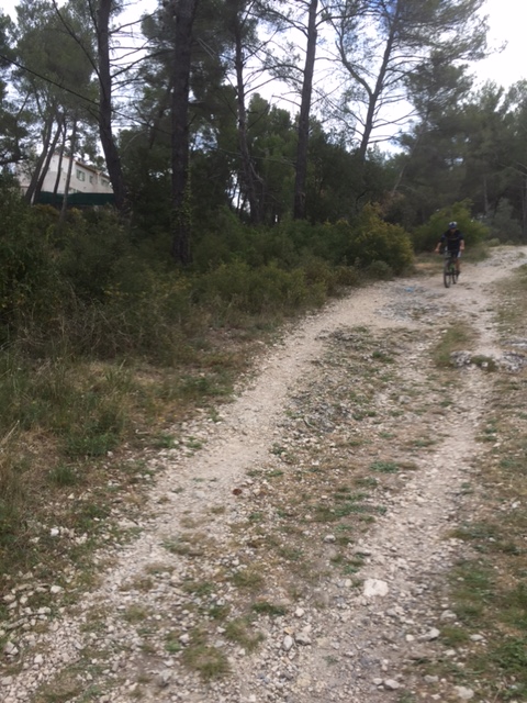 IMG_1181