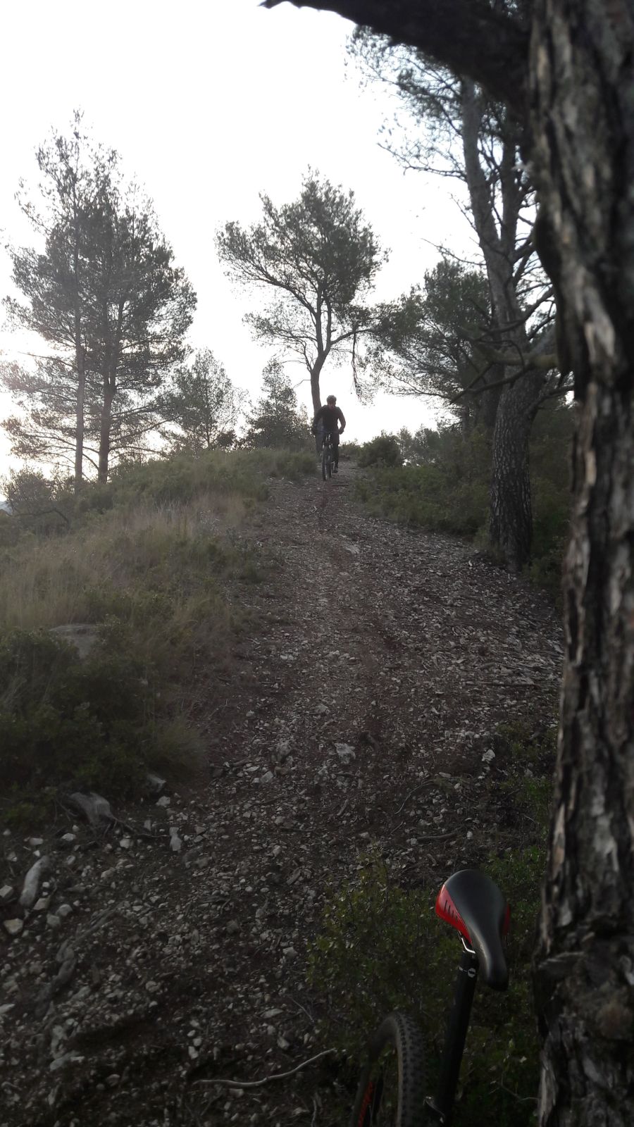 IMG-20180325-WA0000