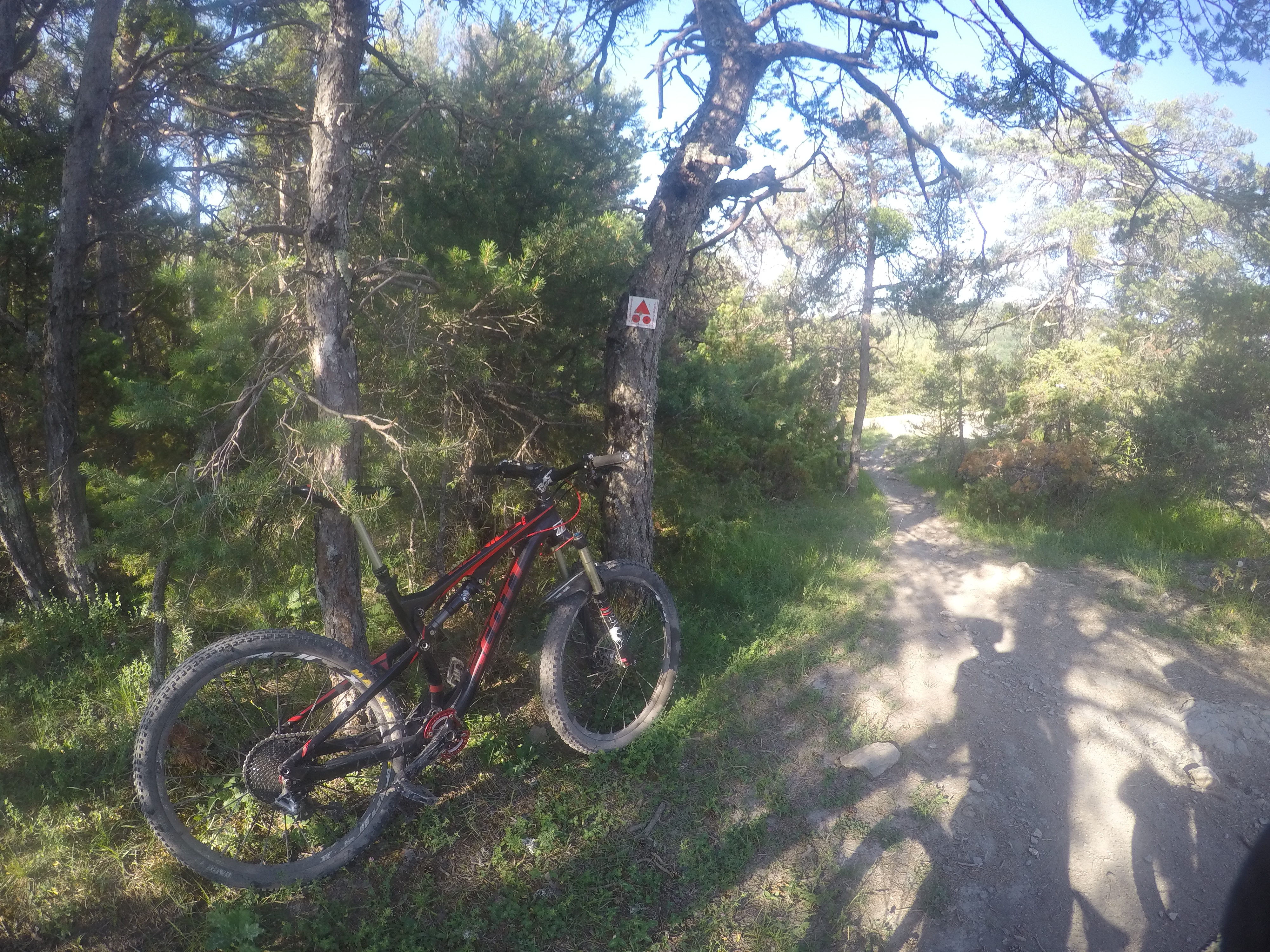 DCIM100GOPROGOPR2480.