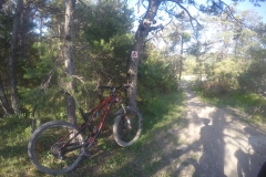 DCIM100GOPROGOPR2480.